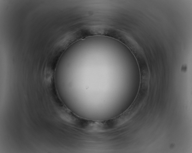 X0000101430125200807141251