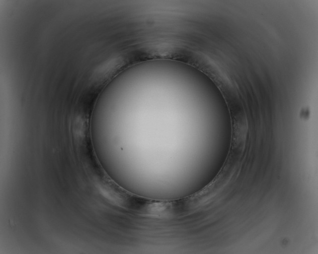 X0000101430126200807141251