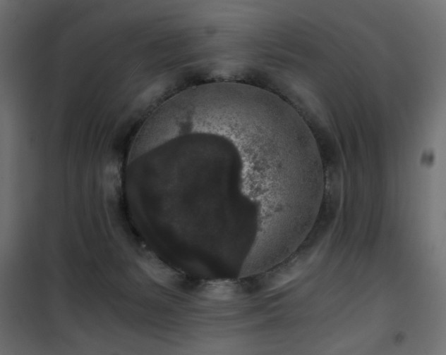 X0000101430127200807141251