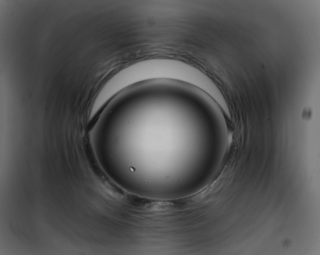 X0000101430128200807141251