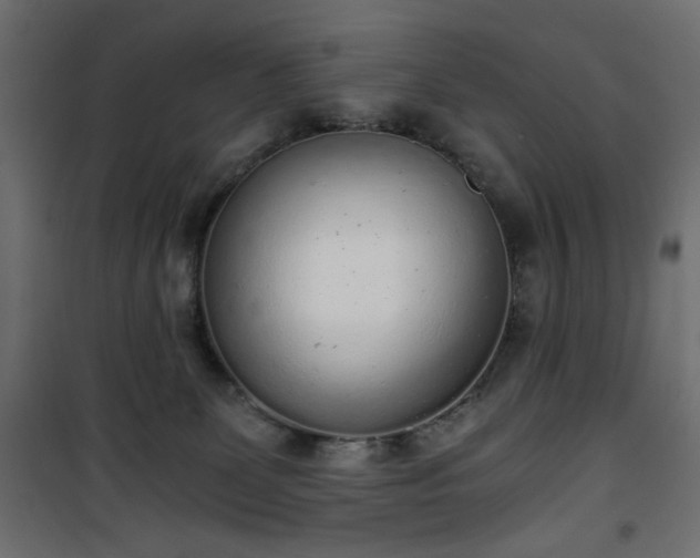 X0000101430131200807141251