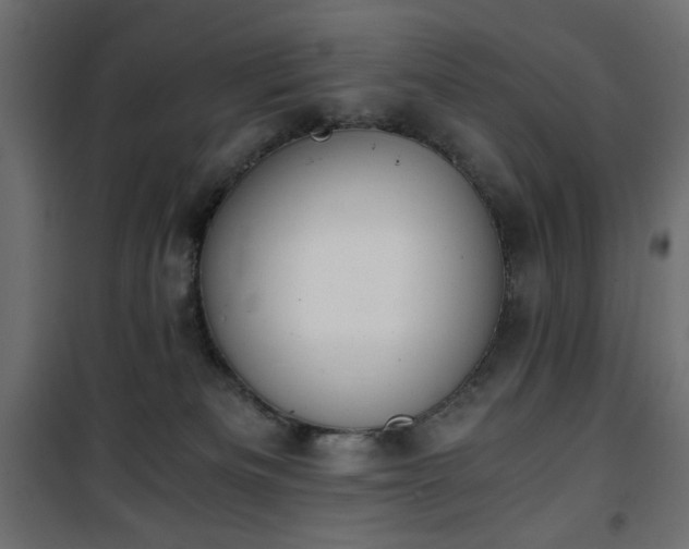 X0000101430133200807141251