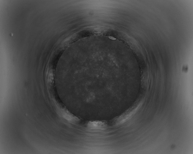 X0000101430137200807141251