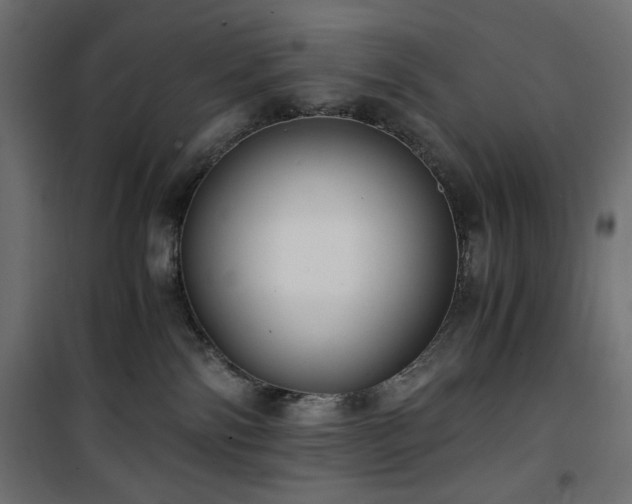 X0000101430138200807141251