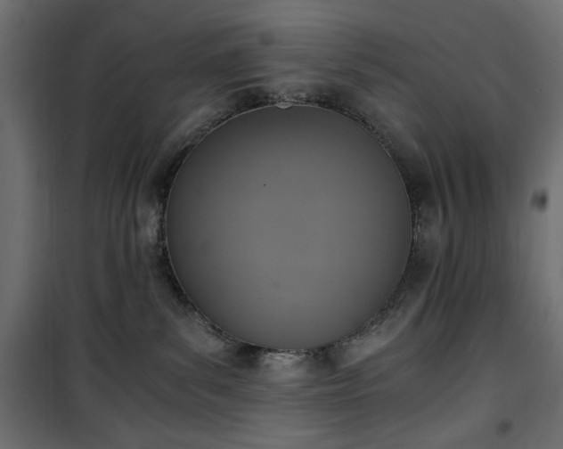 X0000101430139200807141251