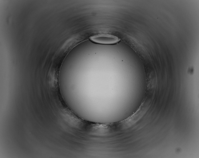 X0000101430140200807141251