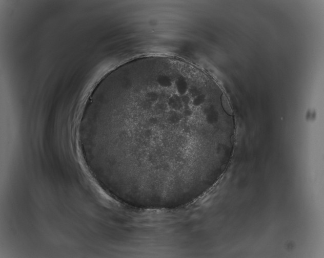 X0000101430145200807141250