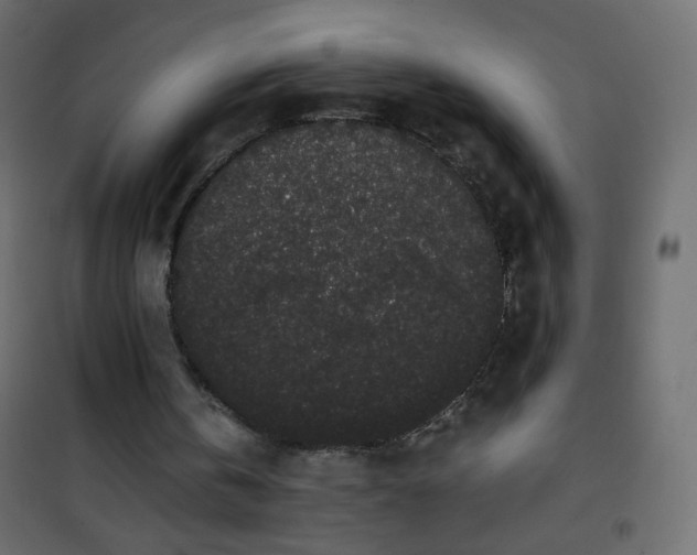 X0000101430146200807141250