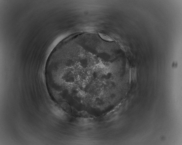 X0000101430147200807141250