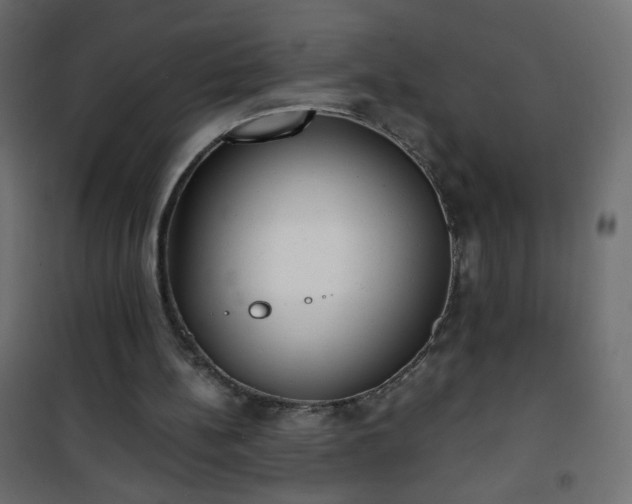 X0000101430148200807141250