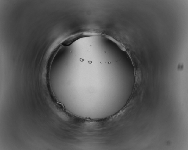 X0000101430150200807141250