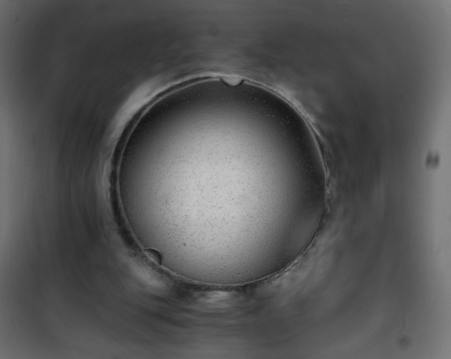 X0000101430151200807141250