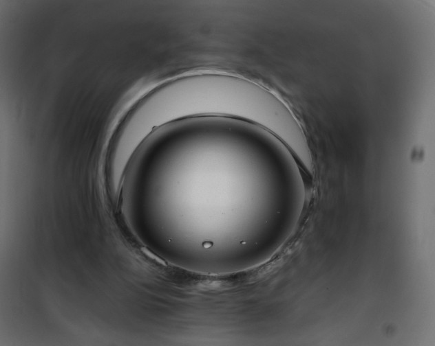 X0000101430152200807141250