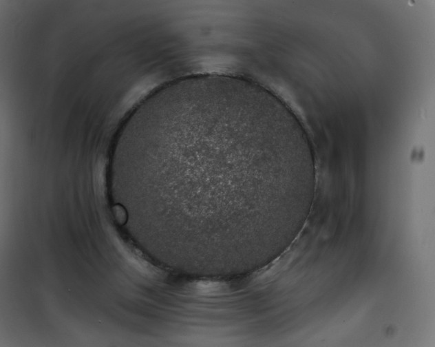 X0000101430154200807141250