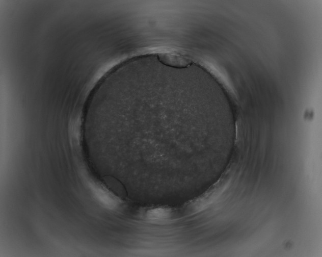 X0000101430156200807141250