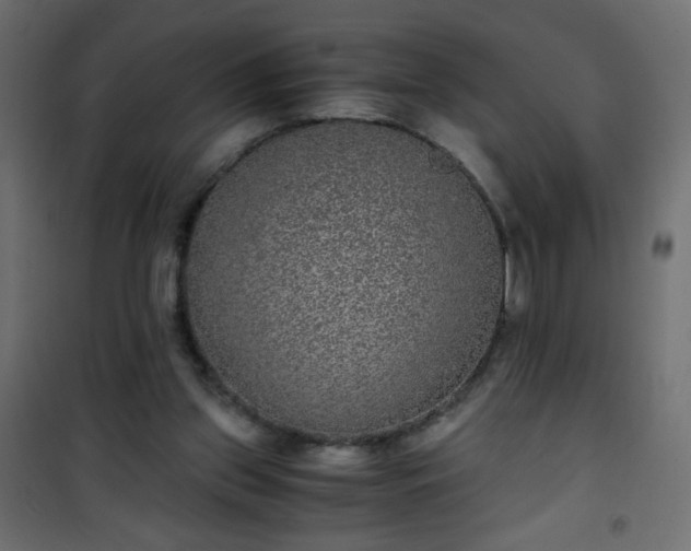 X0000101430157200807141250