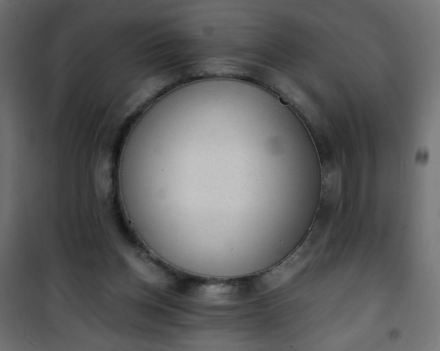 X0000101430158200807141250