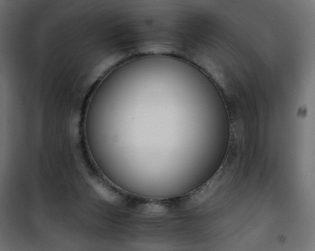 X0000101430159200807141250