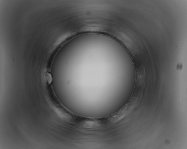 X0000101430160200807141250