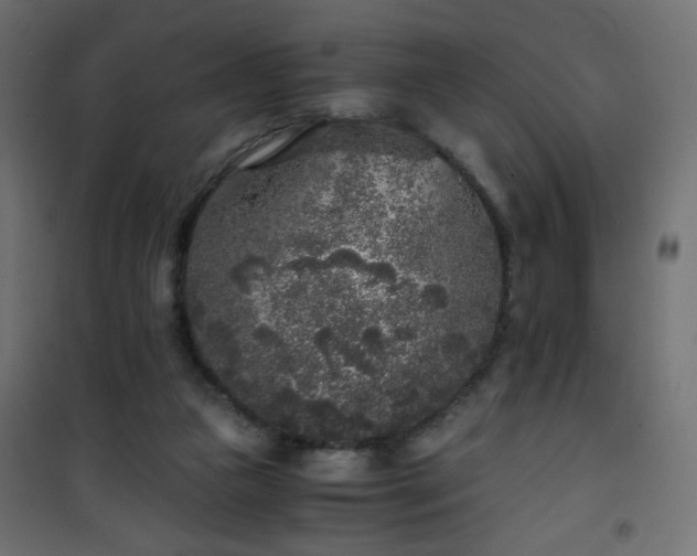 X0000101430161200807141250