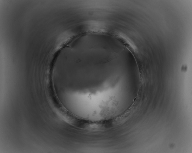 X0000101430163200807141250