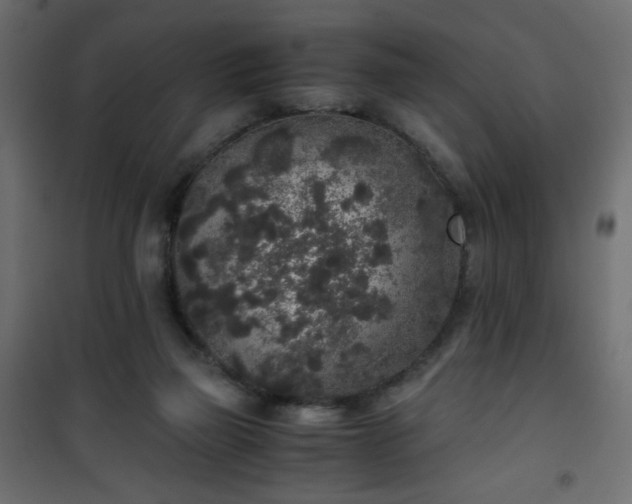 X0000101430165200807141250