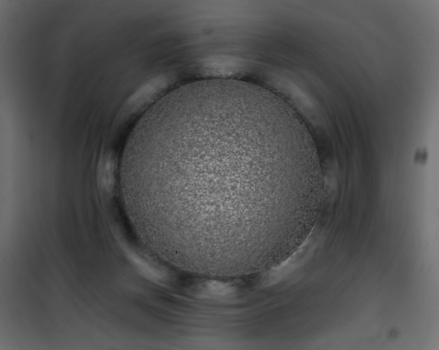 X0000101430166200807141250
