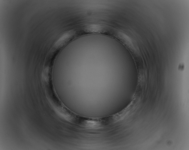 X0000101430167200807141250