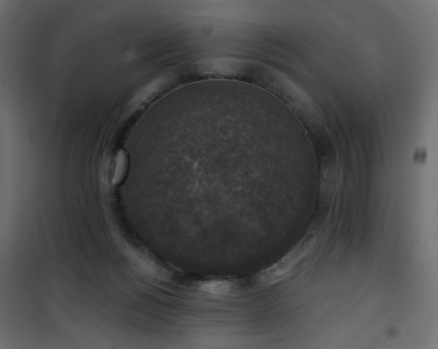 X0000101430168200807141250