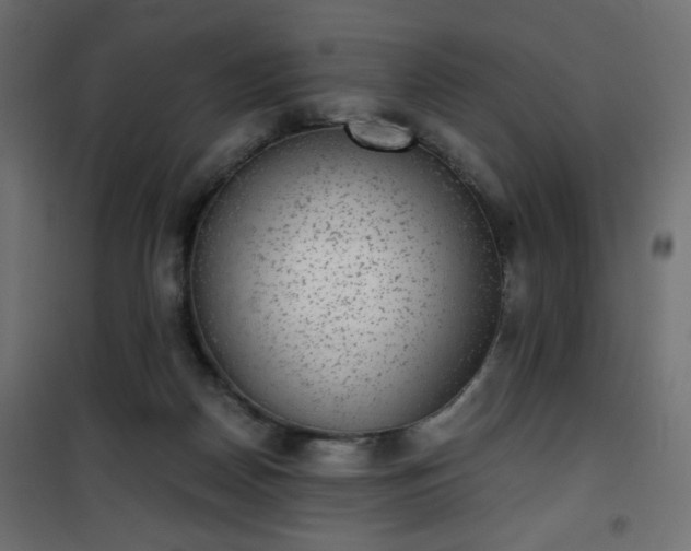 X0000101430170200807141250