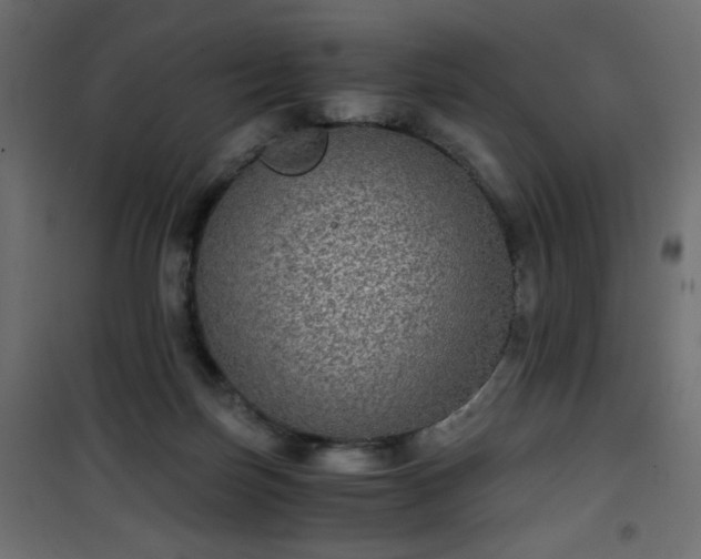 X0000101430171200807141250
