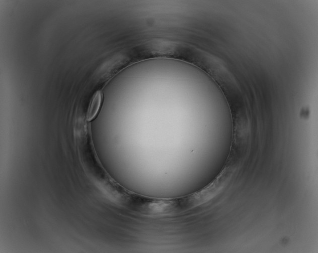 X0000101430172200807141250