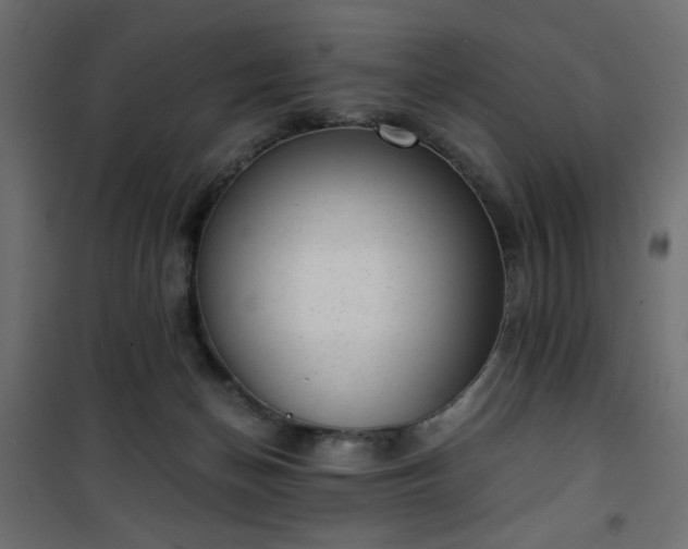 X0000101430174200807141250