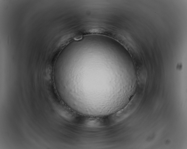 X0000101430175200807141250