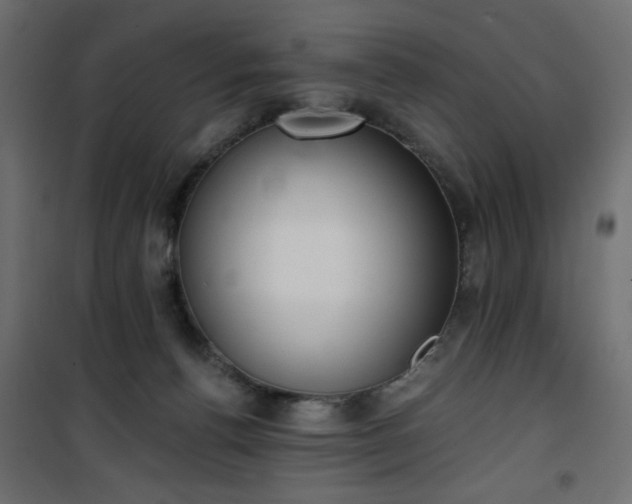 X0000101430176200807141250