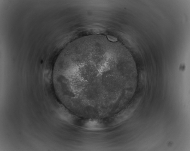 X0000101430177200807141250