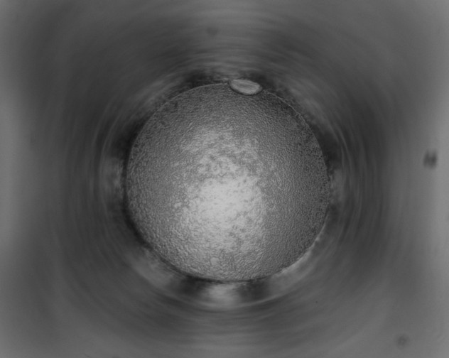 X0000101430178200807141250