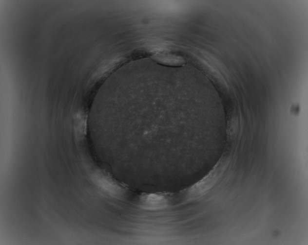 X0000101430180200807141250
