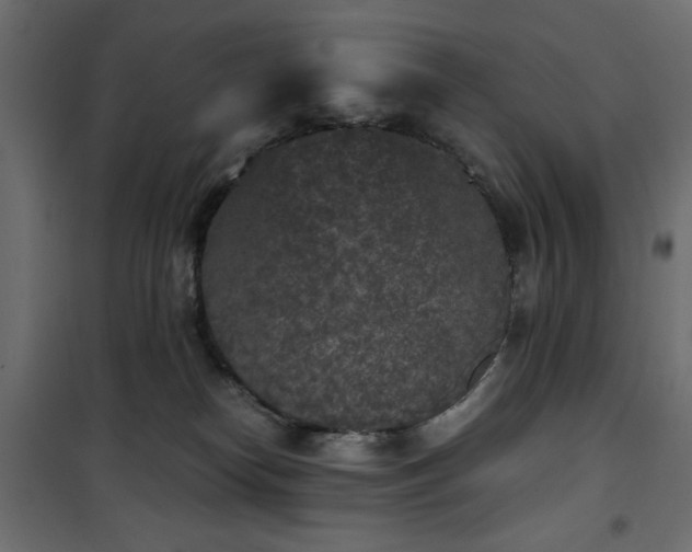 X0000101430182200807141250