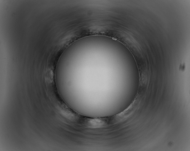 X0000101430183200807141250