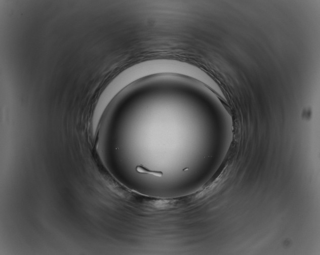 X0000101430184200807141250