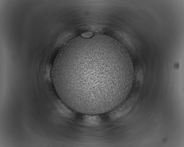 X0000101430185200807141250