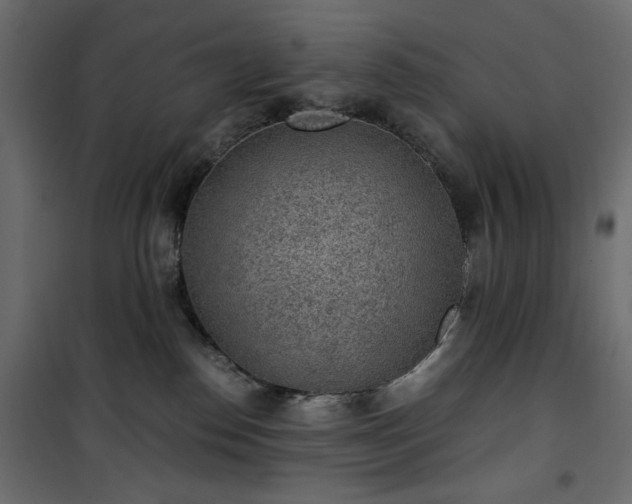 X0000101430186200807141250