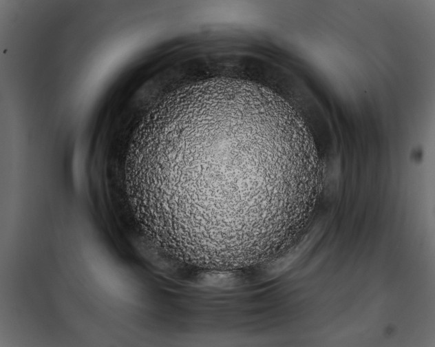 X0000101430189200807141251