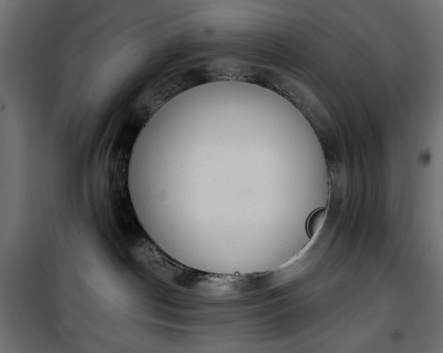 X0000101430190200807141251