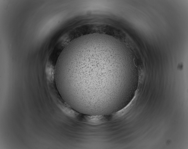 X0000101430191200807141251