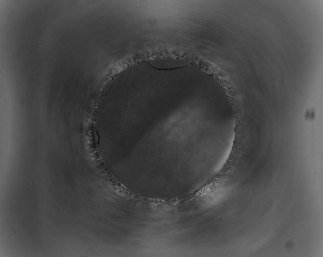 X0000101430192200807141251