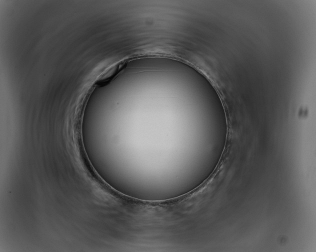 X0000101430193200807141250