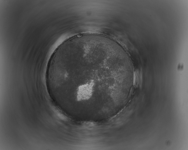 X0000101430195200807141250