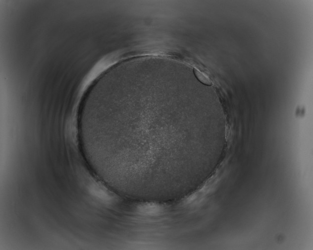 X0000101430198200807141250